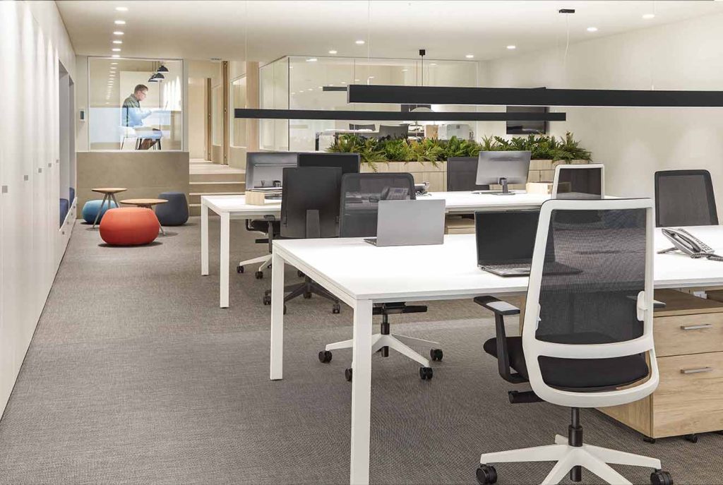 Zenit new offices
